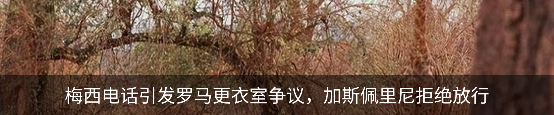 资讯动态